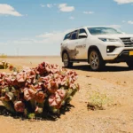 Toyota Fortuner by Namibia2Go
